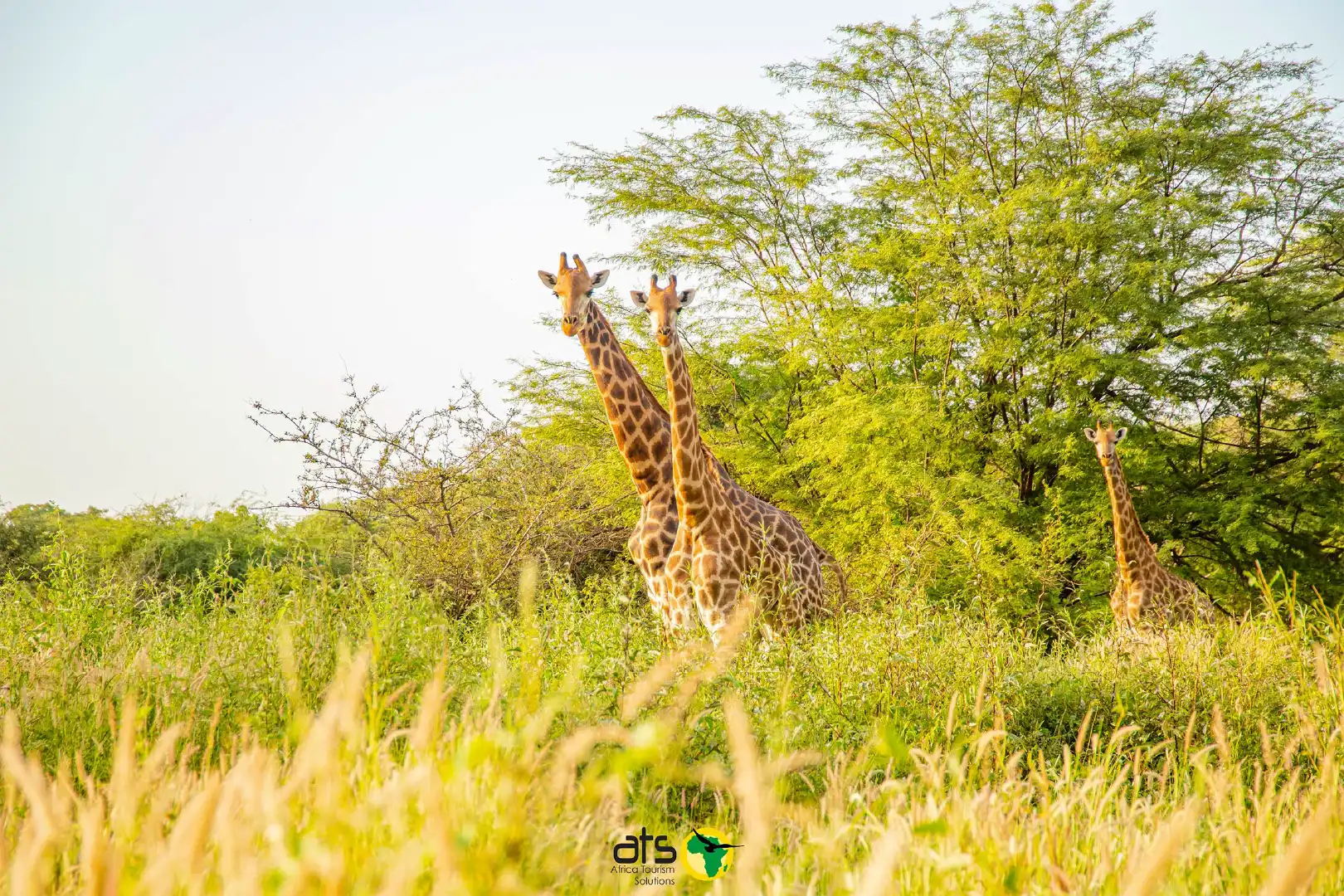 Ranch de Bandia - Image 2