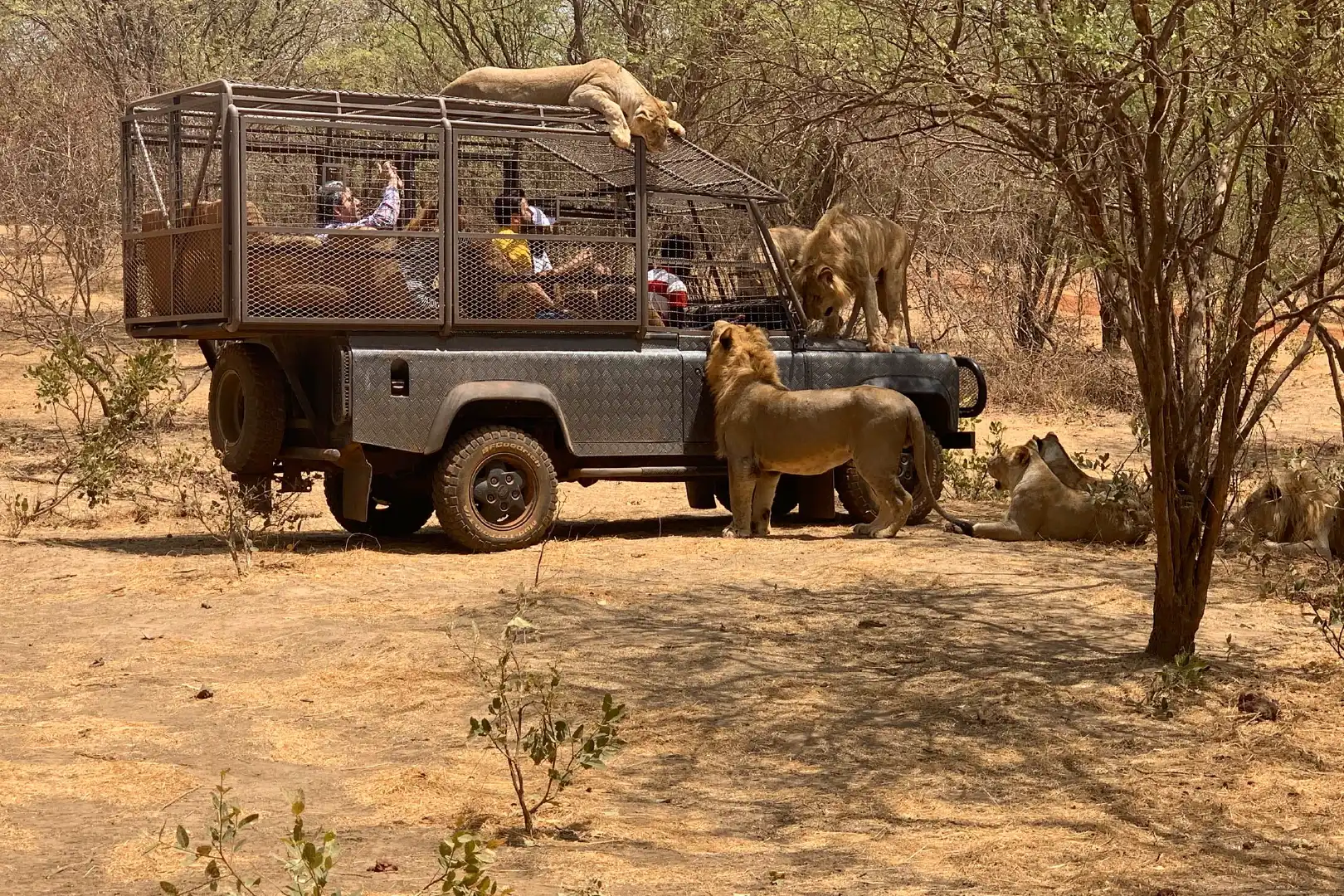 Ranch de Bandia - Image 4