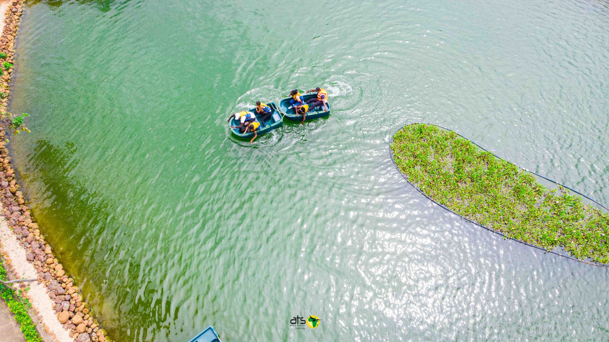 Accrobaobab - Image 6