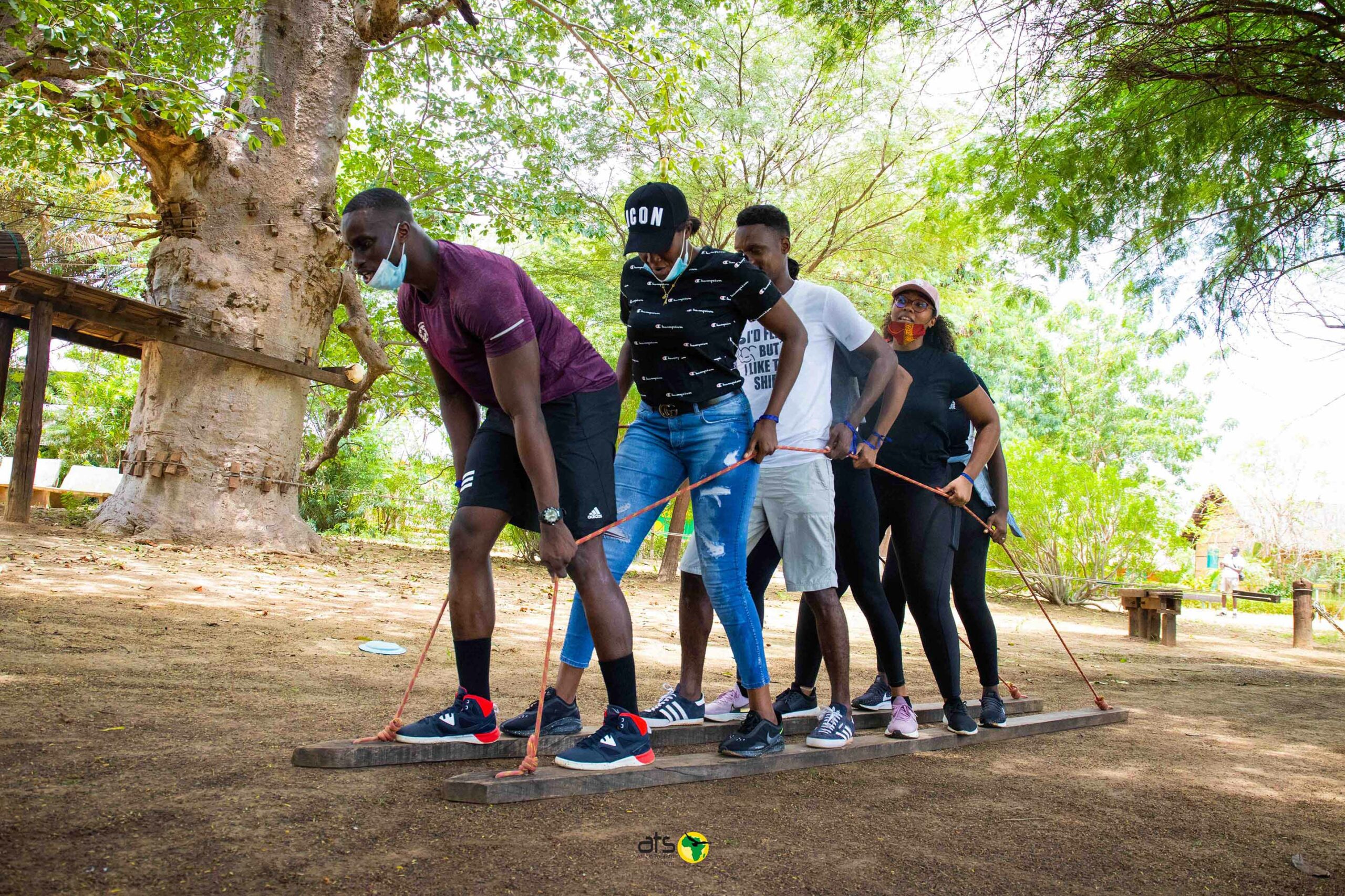 Accrobaobab - Image 4