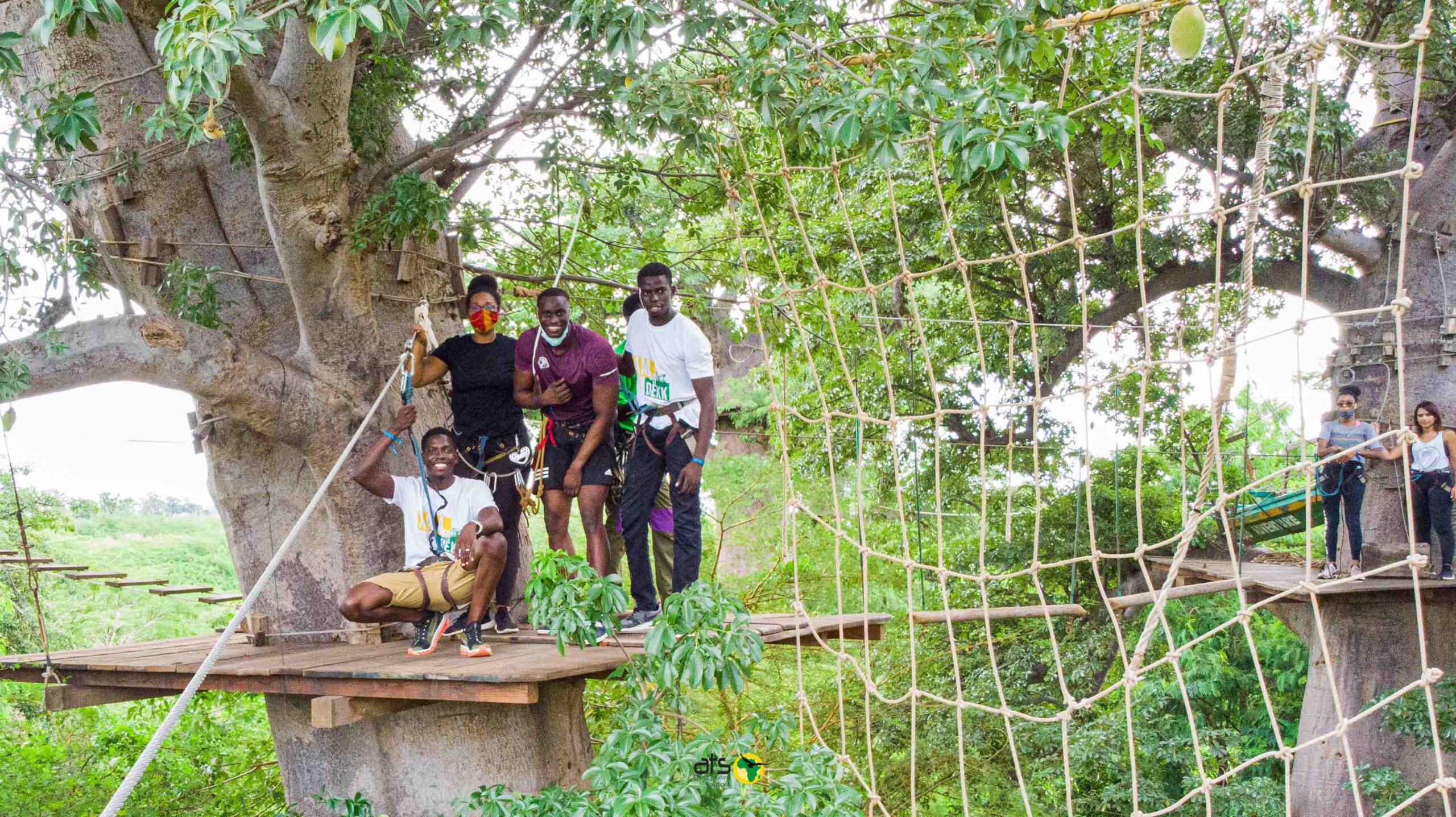 Accrobaobab - Image 7