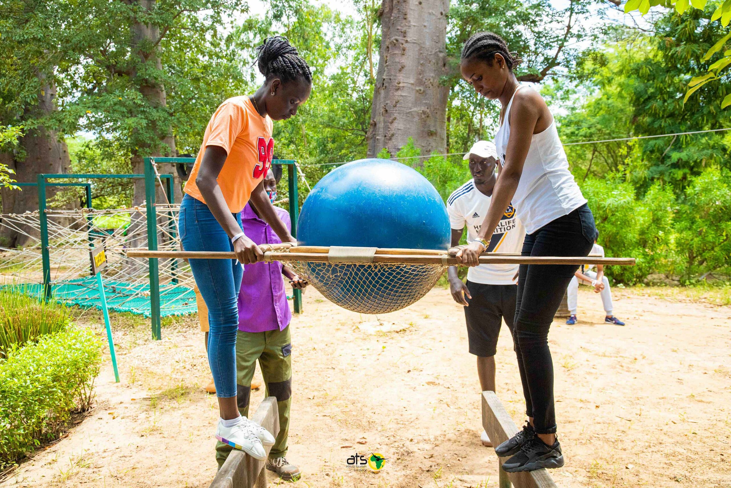 Accrobaobab - Image 2