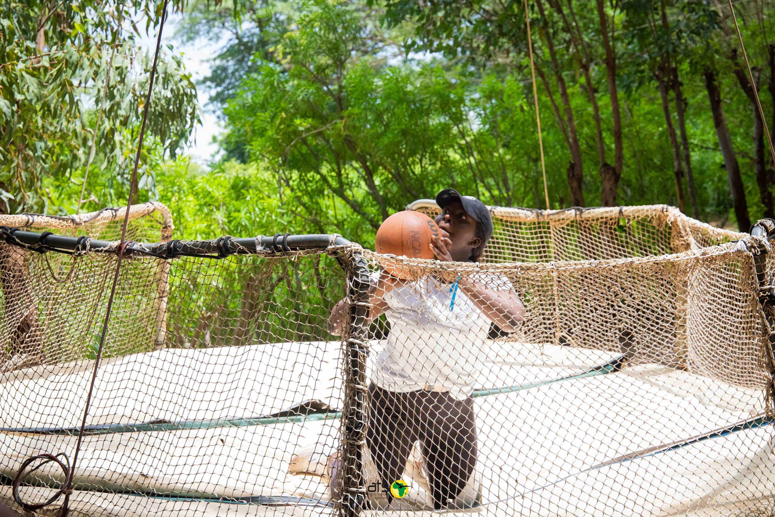 Accrobaobab - Image 3