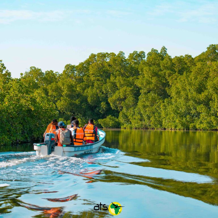 Lire la suite à propos de l’article Les îles du Saloum