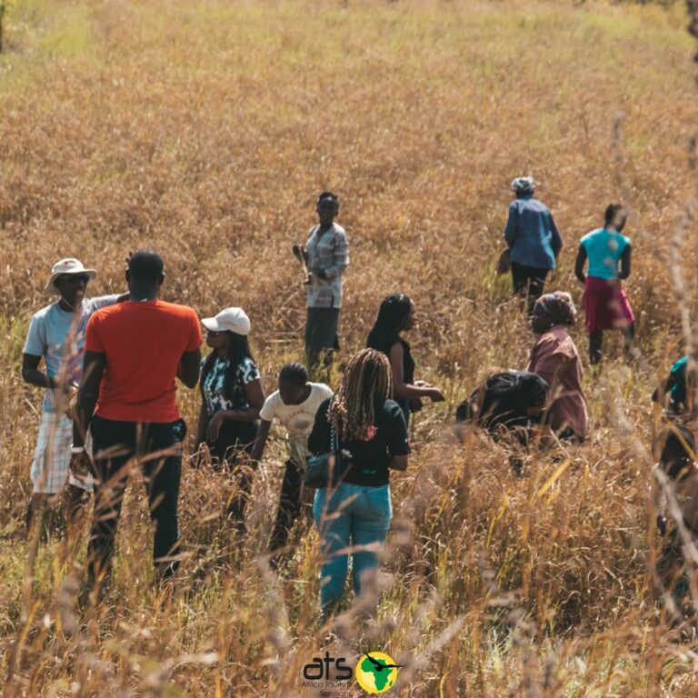 champs-cap-skirring-ats